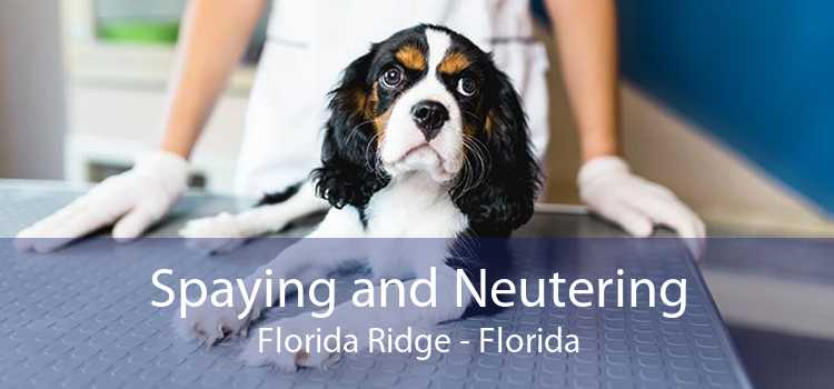 Spaying and Neutering Florida Ridge - Florida