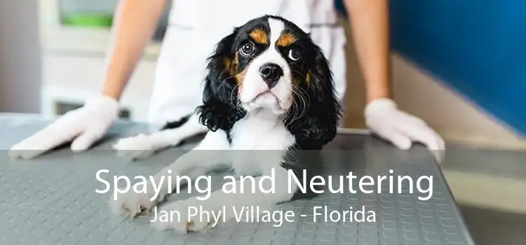 Spaying and Neutering Jan Phyl Village - Florida