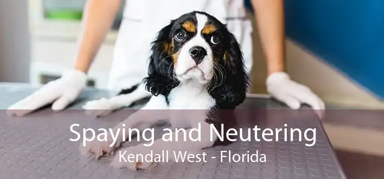 Spaying and Neutering Kendall West - Florida