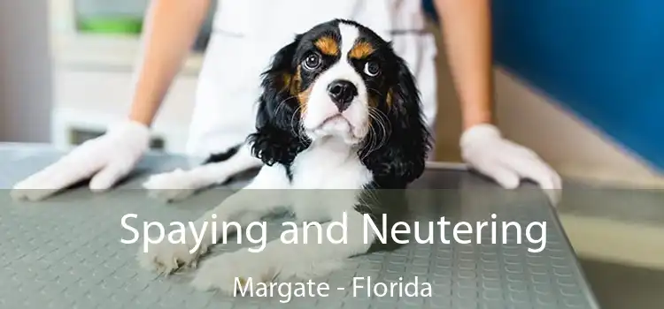 Spaying and Neutering Margate - Florida