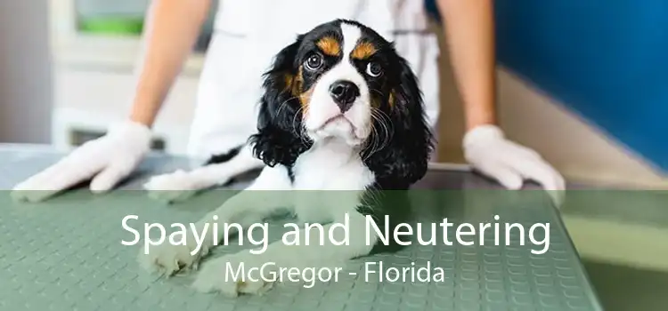 Spaying and Neutering McGregor - Florida