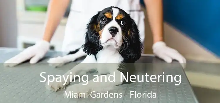 Spaying and Neutering Miami Gardens - Florida