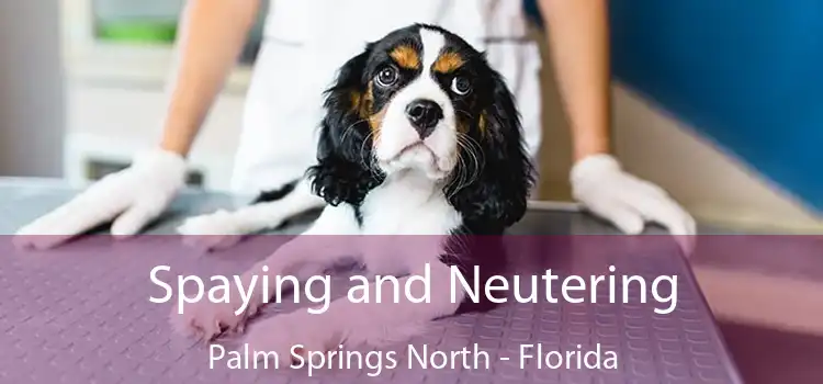 Spaying and Neutering Palm Springs North - Florida