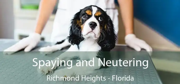 Spaying and Neutering Richmond Heights - Florida