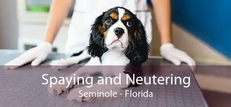 Spaying and Neutering Seminole - Florida