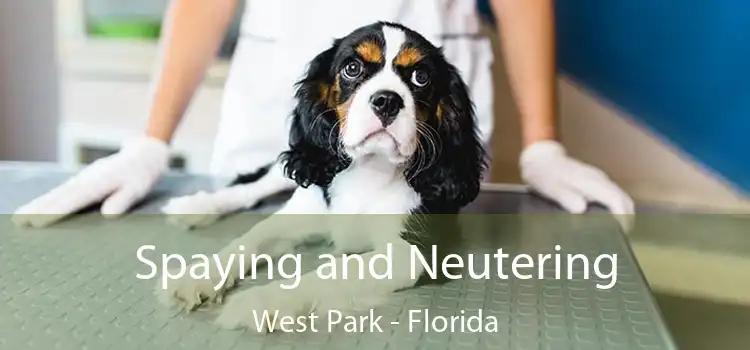 Spaying and Neutering West Park - Florida