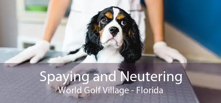 Spaying and Neutering World Golf Village - Florida