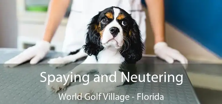 Spaying and Neutering World Golf Village - Florida