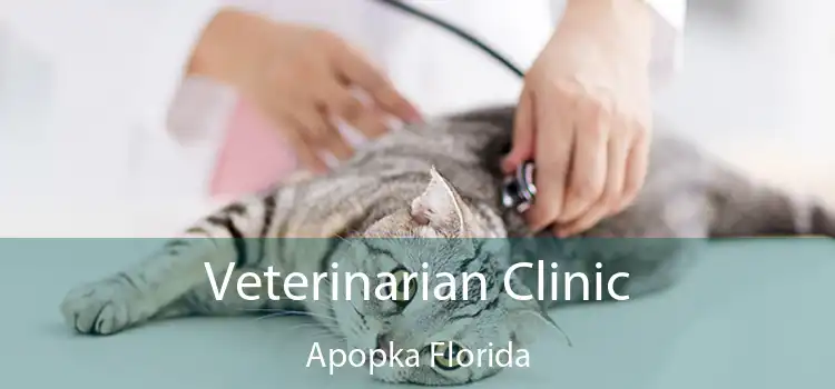 Veterinarian Clinic Apopka Florida