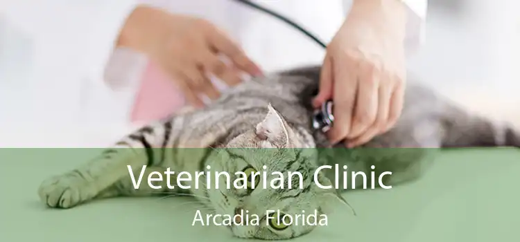 Veterinarian Clinic Arcadia Florida