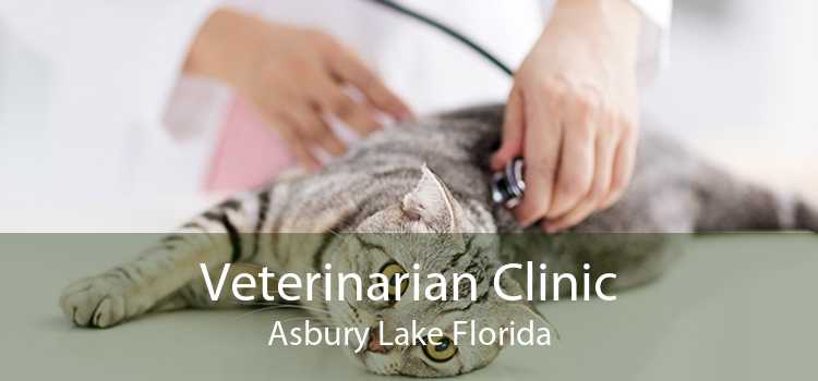 Veterinarian Clinic Asbury Lake Florida
