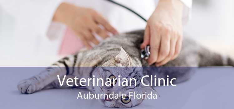 Veterinarian Clinic Auburndale Florida