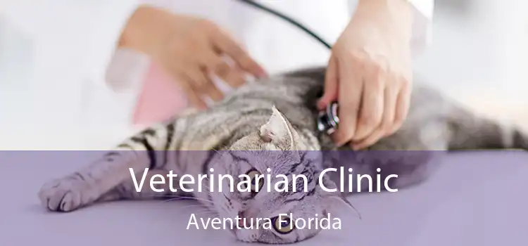 Veterinarian Clinic Aventura Florida