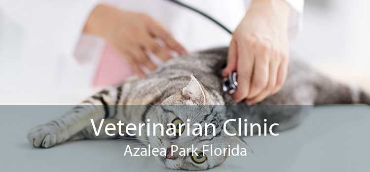 Veterinarian Clinic Azalea Park Florida