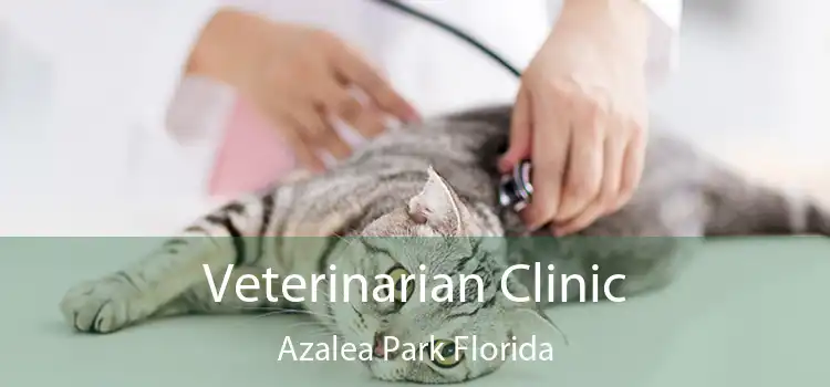 Veterinarian Clinic Azalea Park Florida