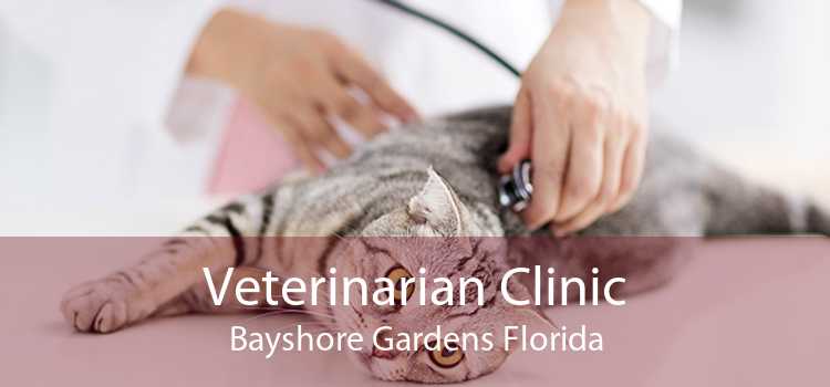 Veterinarian Clinic Bayshore Gardens Florida