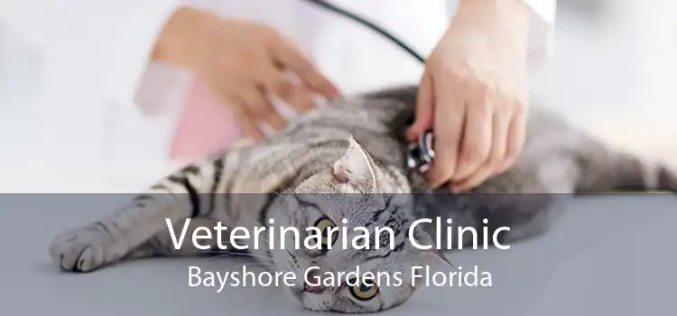 Veterinarian Clinic Bayshore Gardens Florida