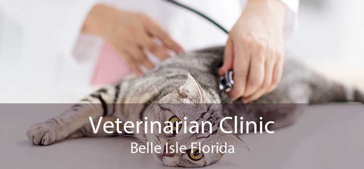Veterinarian Clinic Belle Isle Florida