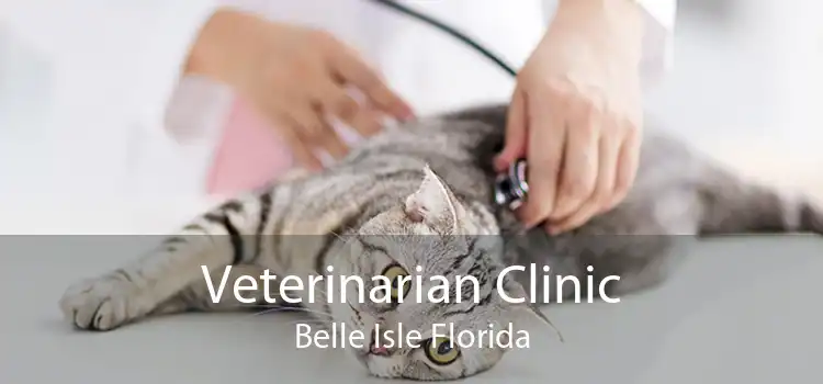 Veterinarian Clinic Belle Isle Florida
