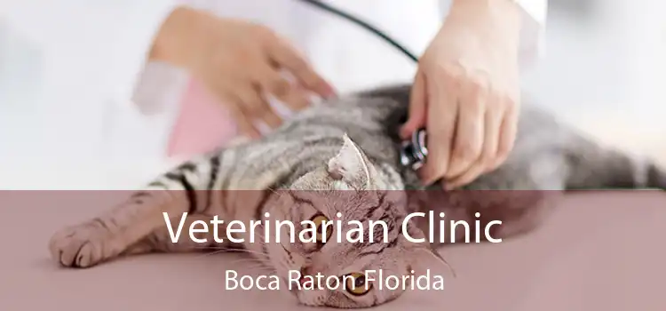 Veterinarian Clinic Boca Raton Florida