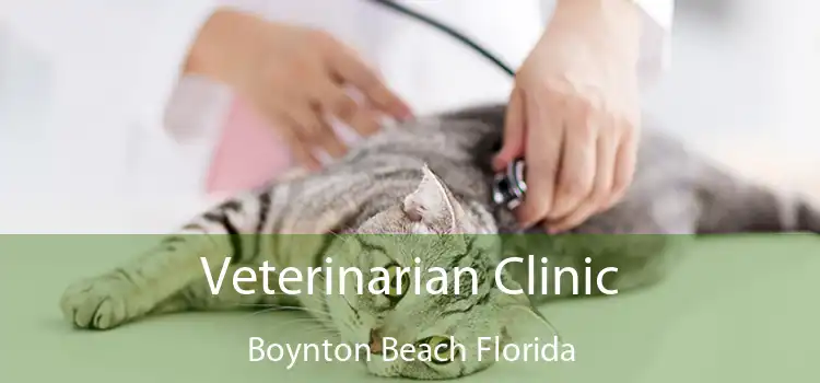 Veterinarian Clinic Boynton Beach Florida