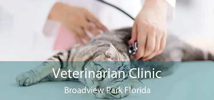 Veterinarian Clinic Broadview Park Florida