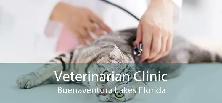 Veterinarian Clinic Buenaventura Lakes Florida