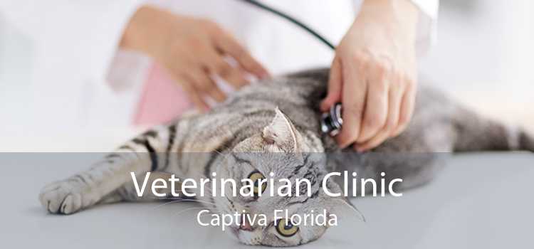 Veterinarian Clinic Captiva Florida