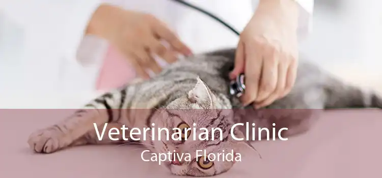 Veterinarian Clinic Captiva Florida