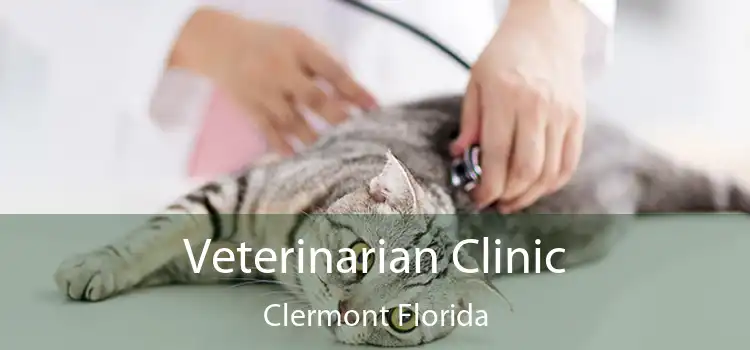 Veterinarian Clinic Clermont Florida