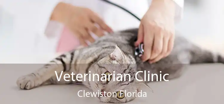 Veterinarian Clinic Clewiston Florida