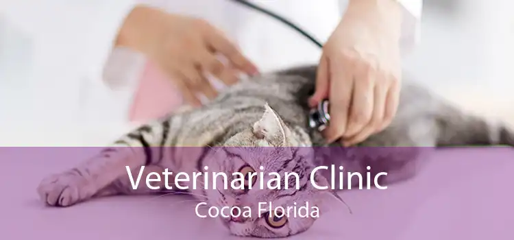 Veterinarian Clinic Cocoa Florida