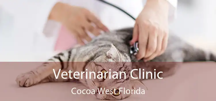 Veterinarian Clinic Cocoa West Florida