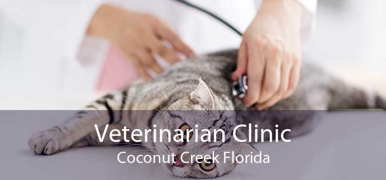 Veterinarian Clinic Coconut Creek Florida