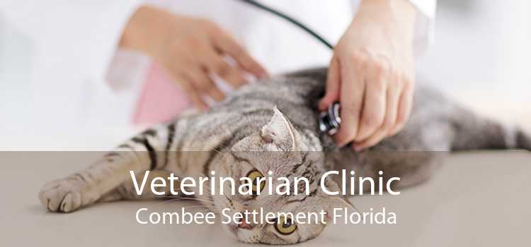 Veterinarian Clinic Combee Settlement Florida