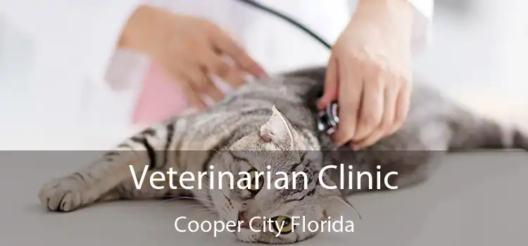 Veterinarian Clinic Cooper City Florida