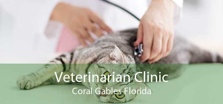 Veterinarian Clinic Coral Gables Florida
