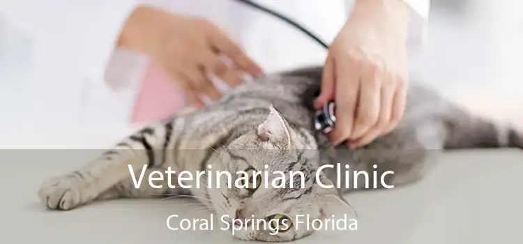 Veterinarian Clinic Coral Springs Florida