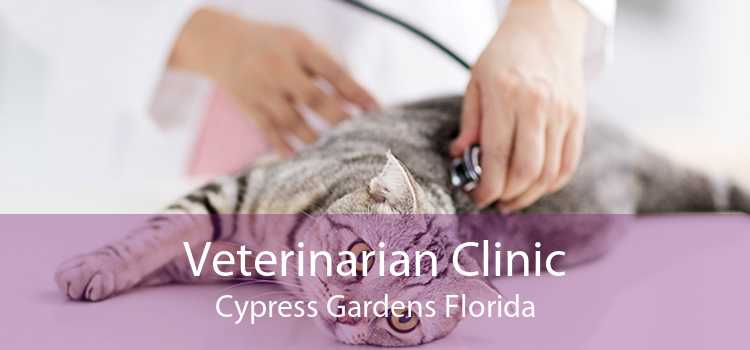 Veterinarian Clinic Cypress Gardens Florida