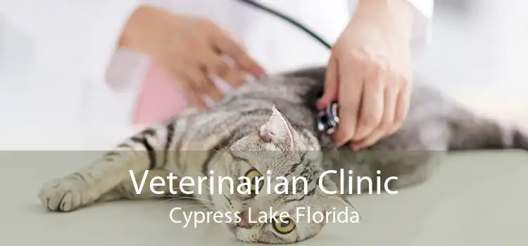 Veterinarian Clinic Cypress Lake Florida