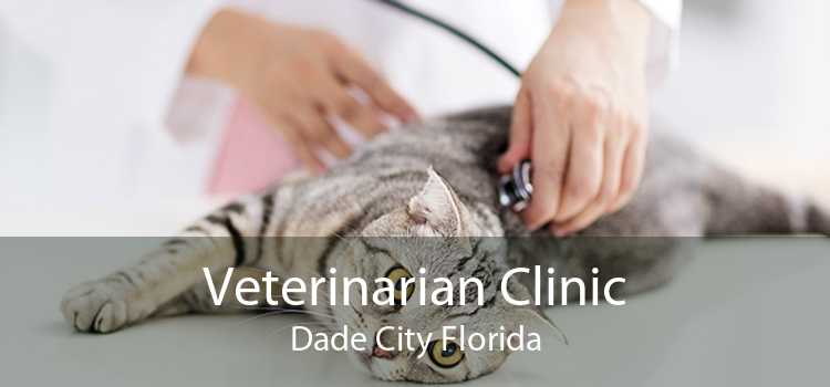 Veterinarian Clinic Dade City Florida