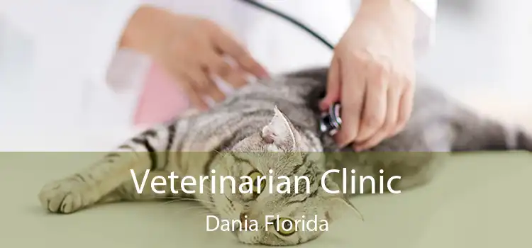 Veterinarian Clinic Dania Florida