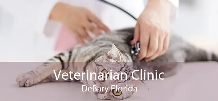 Veterinarian Clinic DeBary Florida