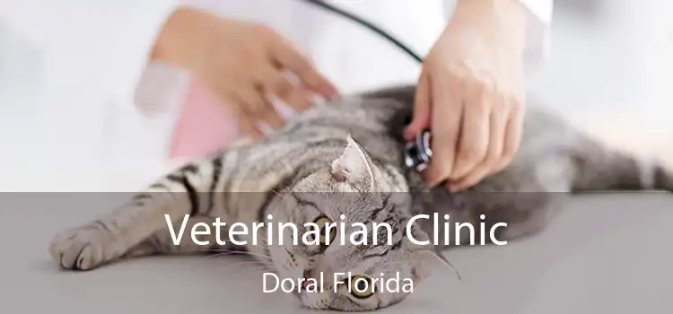 Veterinarian Clinic Doral Florida