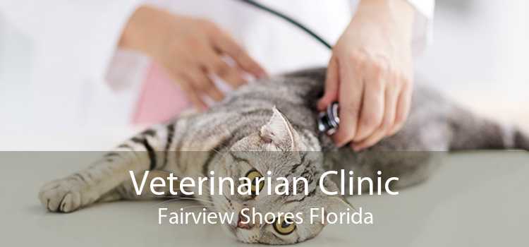Veterinarian Clinic Fairview Shores Florida