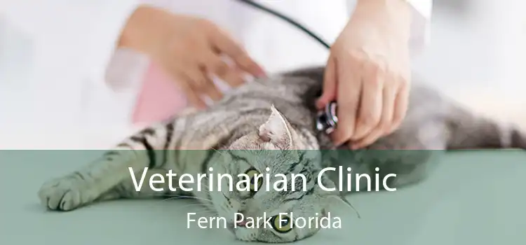 Veterinarian Clinic Fern Park Florida