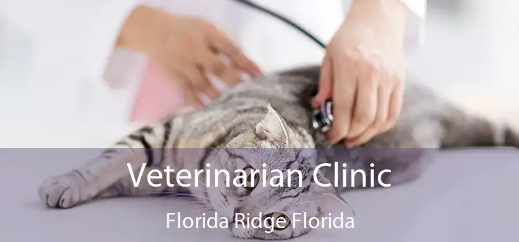 Veterinarian Clinic Florida Ridge Florida