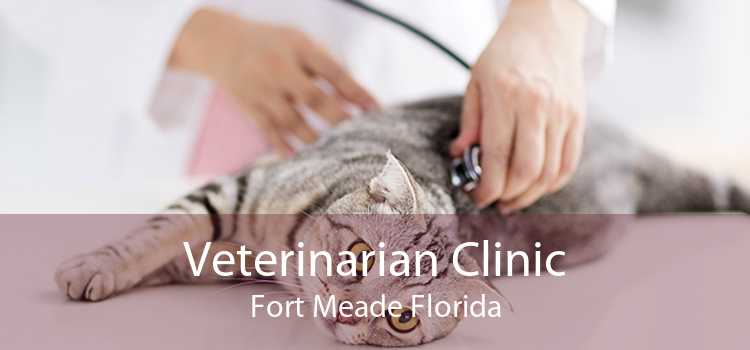 Veterinarian Clinic Fort Meade Florida