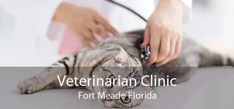 Veterinarian Clinic Fort Meade Florida