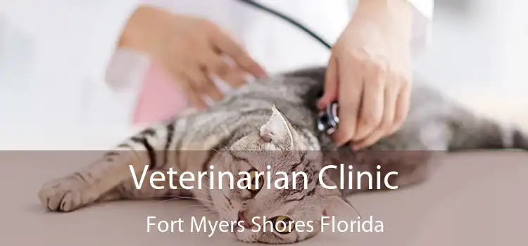 Veterinarian Clinic Fort Myers Shores Florida